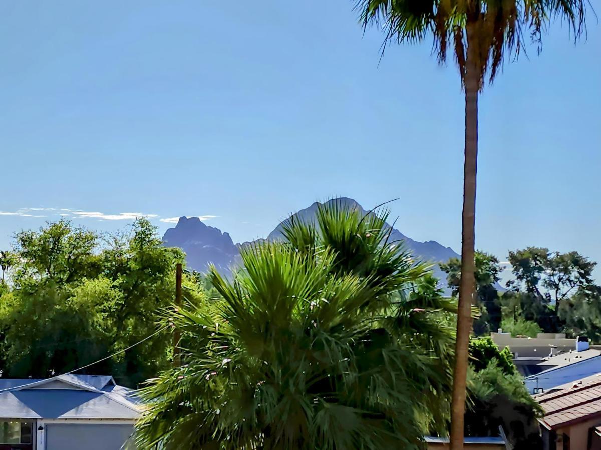 Biltmore Bliss Desert Retreat! فينيكس المظهر الخارجي الصورة